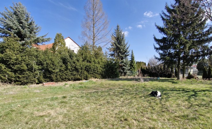 działka na sprzedaż - Poznań, Szczepankowo